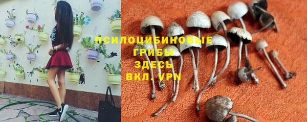 мяу мяу кристалл Гусиноозёрск