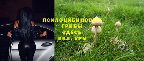 прущий лед Гусь-Хрустальный
