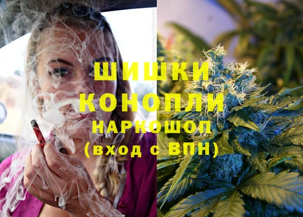 mdpv Гусев