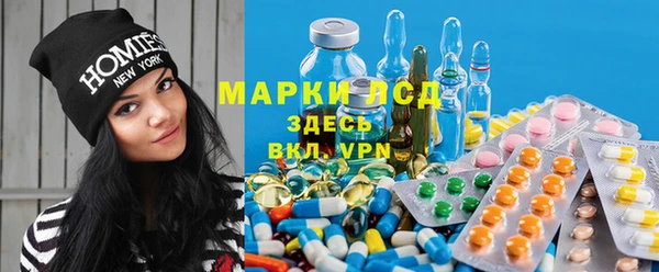 mdpv Гусев