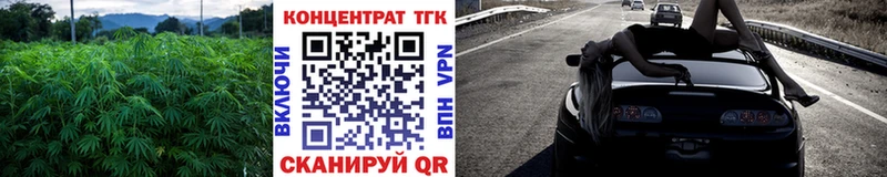 Купить закладки  Нолинск  Дистиллят ТГК вейп с тгк 