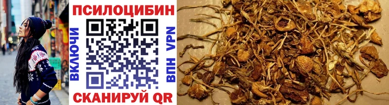 Купить где  Нолинск  Псилоцибиновые грибы MAGIC MUSHROOMS 